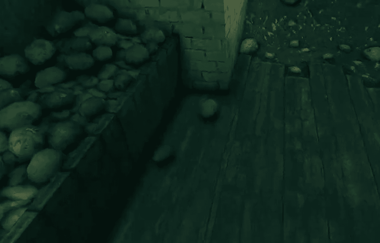 Basement in No I'm not a Human